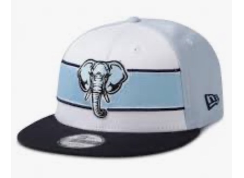 Coventry city new era - fc,