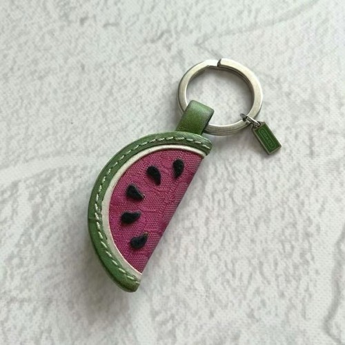 Coach signature watermelon - coach,