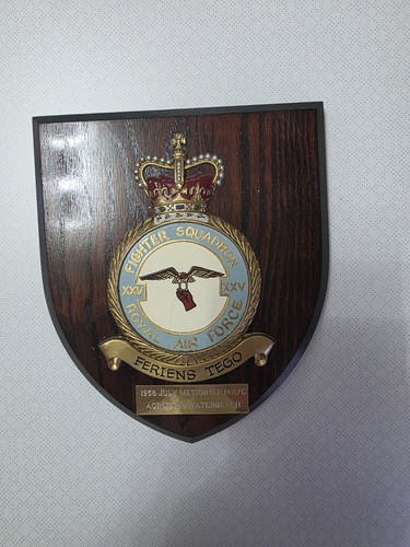 Vintage raf royal air force - royal,