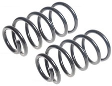 2X Rear Coil Springs For Kia