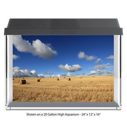 Hay wheat field - hay, fish