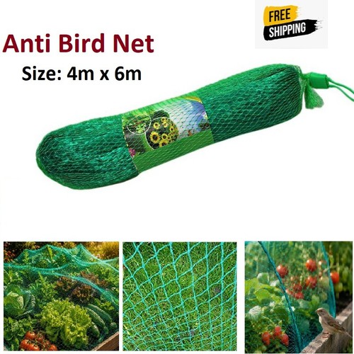 4x6m anti bird net - anti,