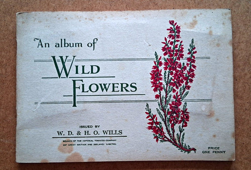 Will album of - an,