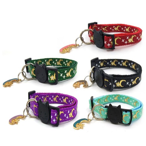 Kitten star collar breakaway - kitten,