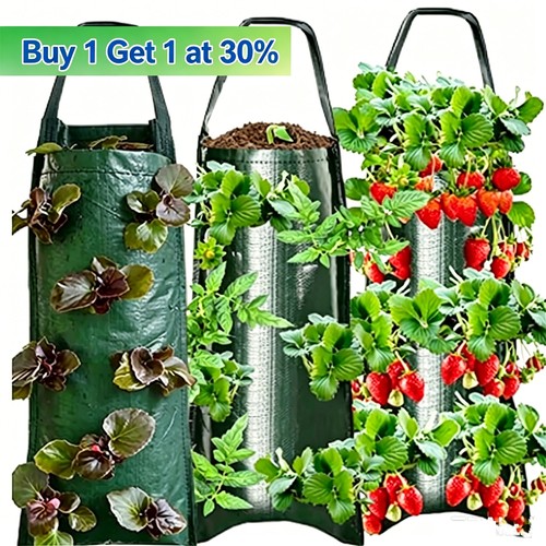 Tomato strawberry grow bag - tomato,