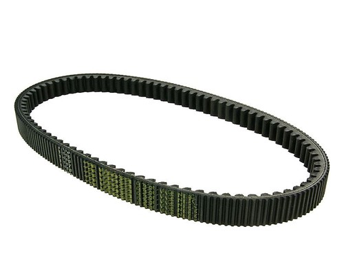 Drive belt malossi - x, k