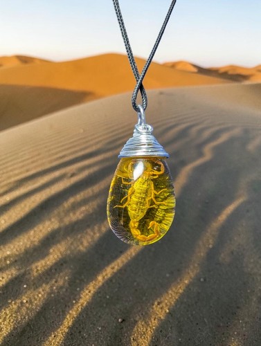 Resin teardrop scorpion - resin,