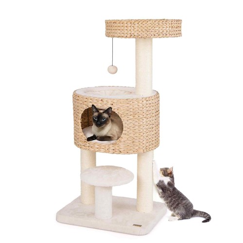 Kitty activity center - pet, play