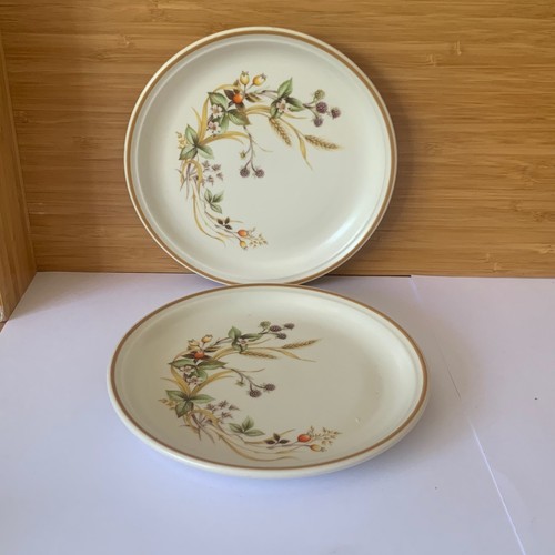 Harvest stoneware 5 - 6.5', tea