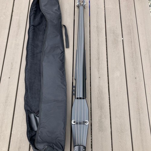 Hallstatt upright bass - upright,