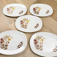 5 x Vintage white oval plates