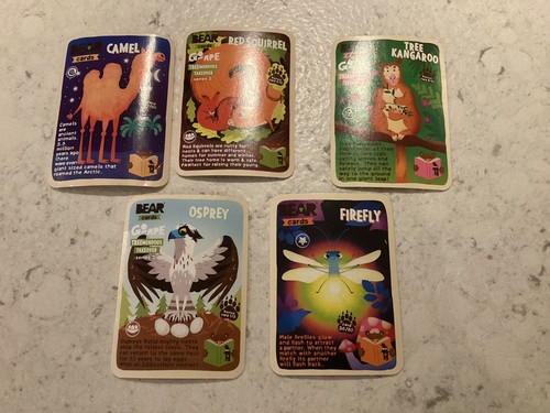 Yoyo bear card - bear, 2021