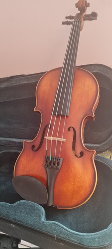 Viola primavera prima 100 - primavera,