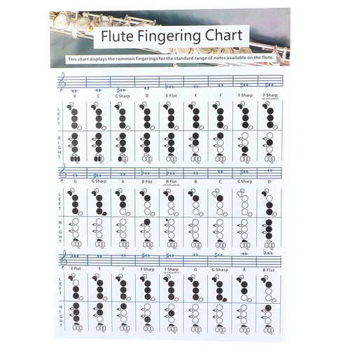 Flute fingering chord chart - fingering,