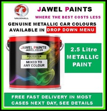 VAUXHALL PAINT (  2.5 Litre )