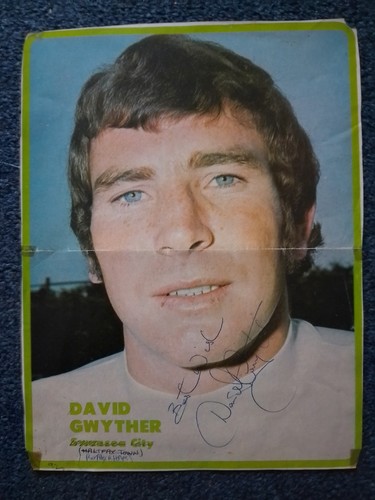 David gwyther swansea city - gwyther,