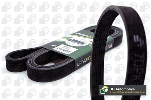 Bga 7dpk2074 ribbed belt - bga,