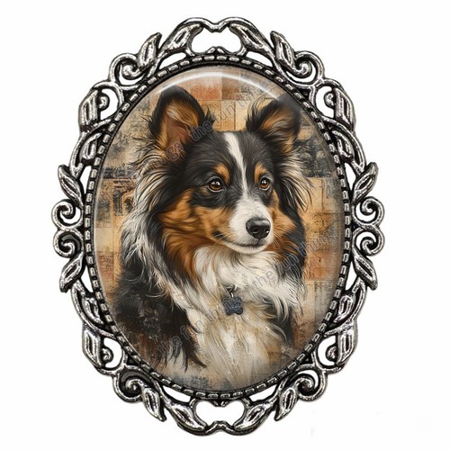 Shetland sheepdog sheltie dog - shetland,