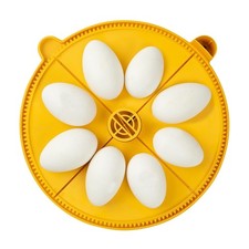 Brinsea Extra Large Egg