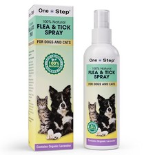 Flea, Tick Spray | 100%