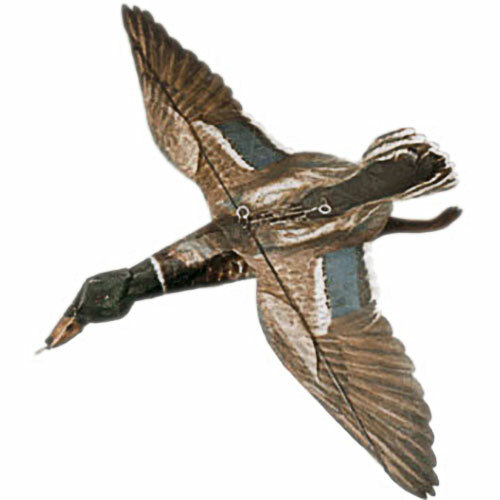 Jackite mallard duck drake - duck,