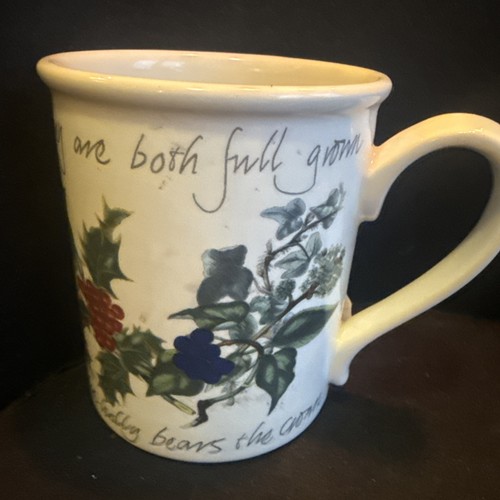 Portmeirion holly ivy - holly, &