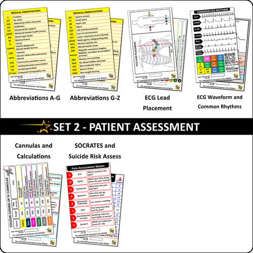 Set patient assessment badge - assessment,