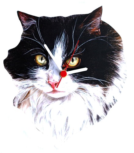 Black and white - cat, clock