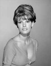 Hollywood Actress Raquel Welch