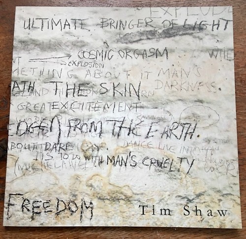 Tim shaw artist - tim, artist,