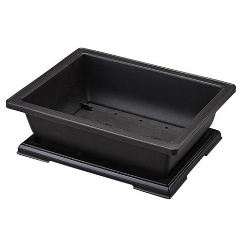 Plastic plant pot 1 - plant,