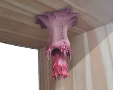 Half life barnacle - barnacle, (will