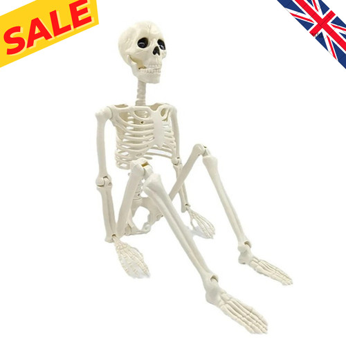 Halloween decorations - halloween,