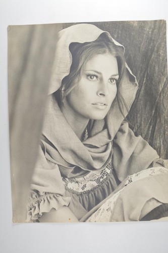 Raquel welch portrait - raquel,