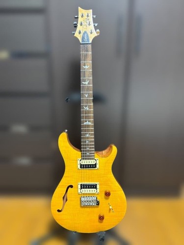 Prs custom semi hollow - prs,