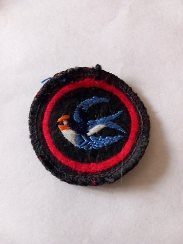 Vintage girl guides - girl,