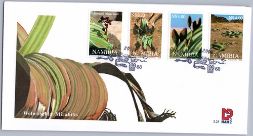 Namibia swa fdc welwitschia - fdc,