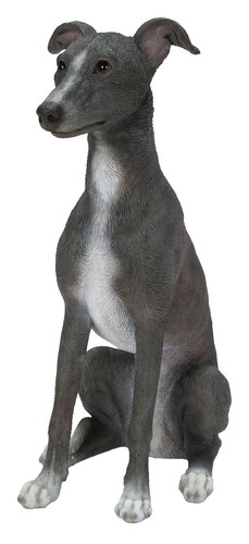 Vivid arts whippet blue - whippet, &