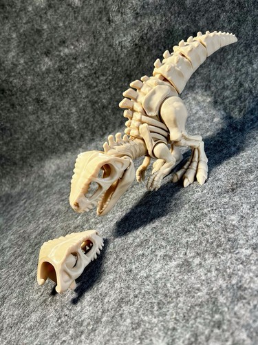 Articulated rex skeleton - articulated,