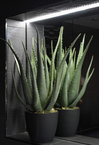Artificial aloe vera plant - artificial,
