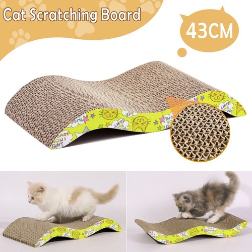 Cat scratching board - cat,