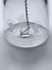 Royal Wedding 1981 Charles