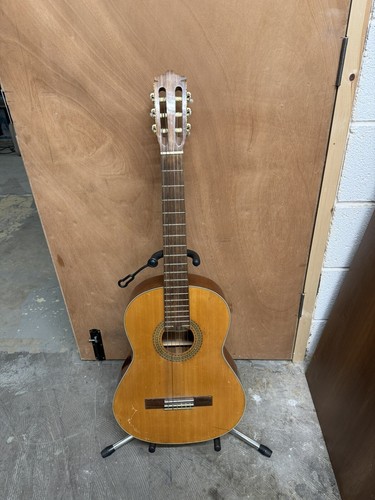 Artist classical guitar - classical,