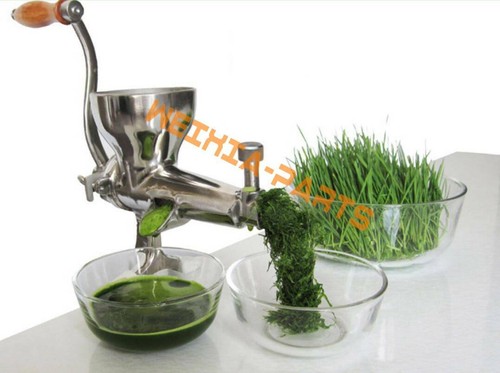 Stainless steel slow juicer - steel,