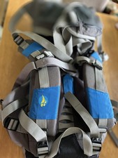 Littlelife Ranger Carrier