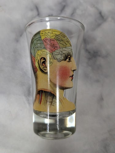 Phrenology shot glass tequila - glass,