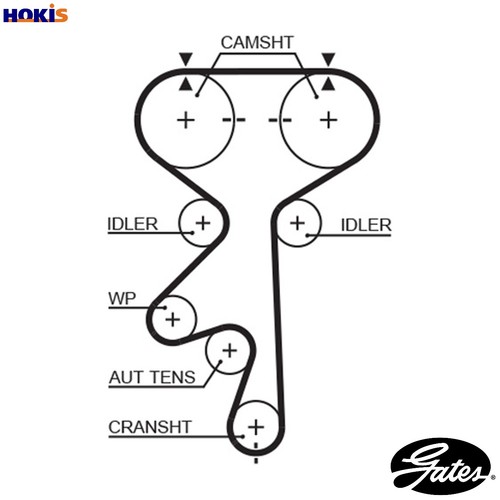 Timing belt for - timing,