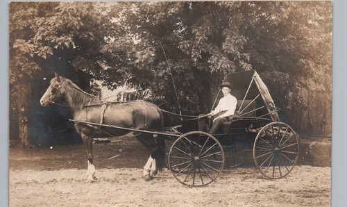 Horse carriage dirt road - carriage,