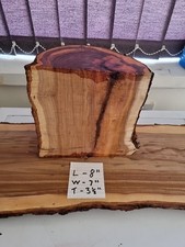 English Yew hardwood half log