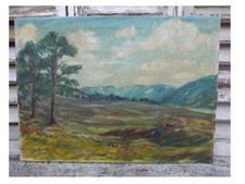 Vintage Oil Painting Of Glen Feshie Signed Colin Murdoch
